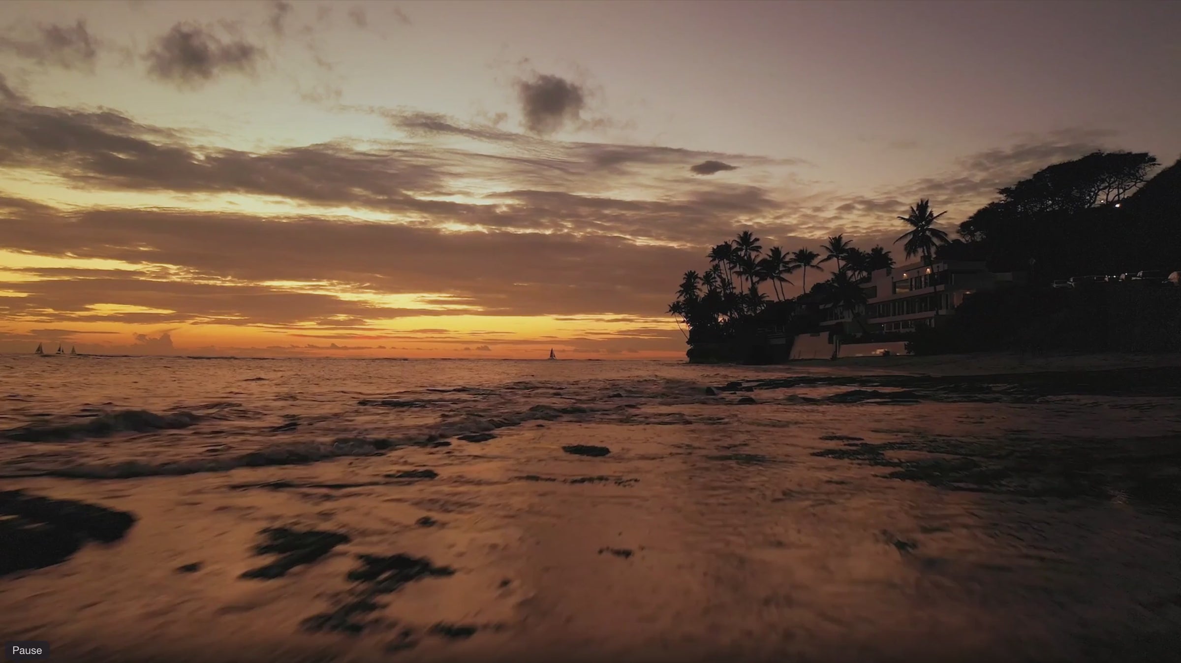 Golden sunset over the Puerto Rico coastline with ocean waves and palm trees.